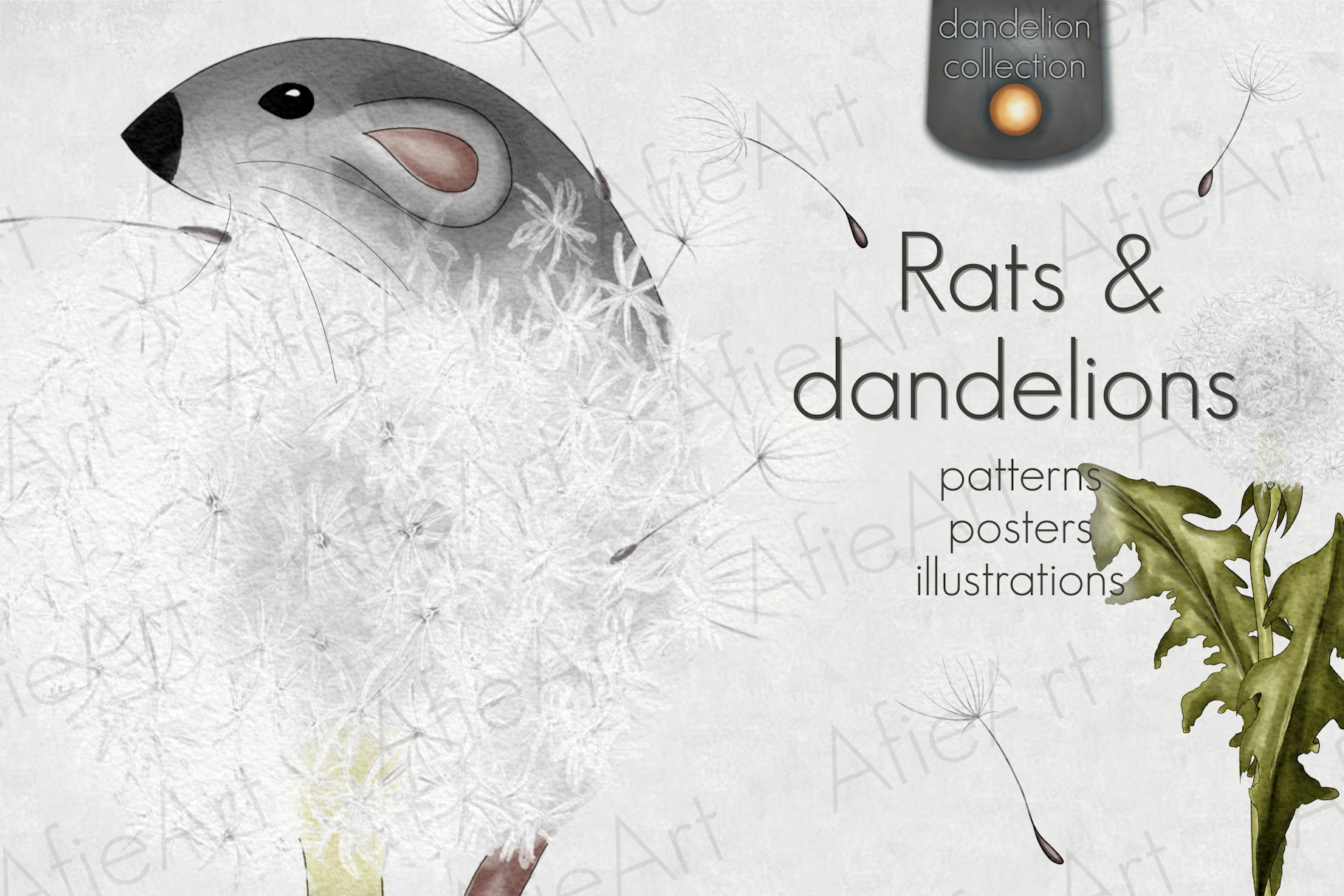 Rats and dandelions set