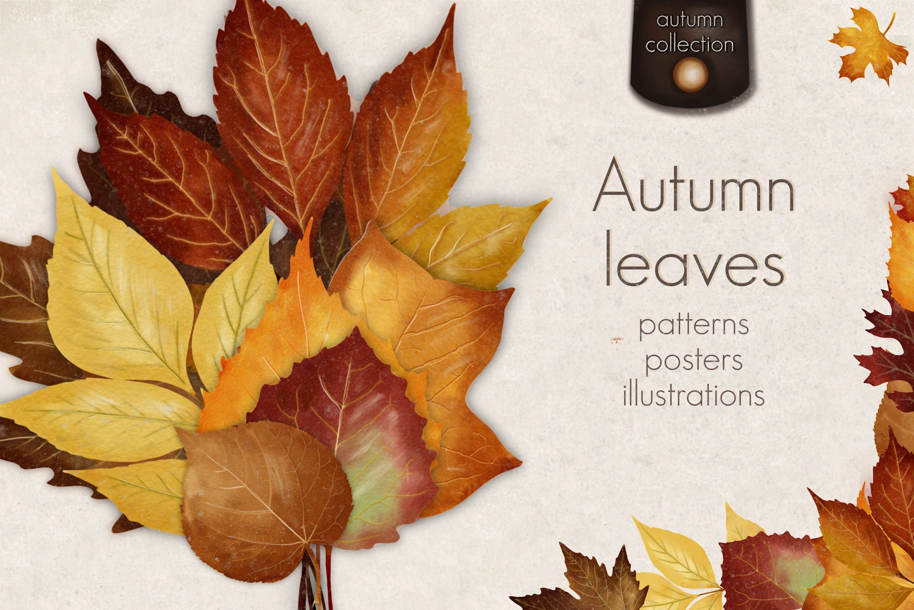 Autumn collection
